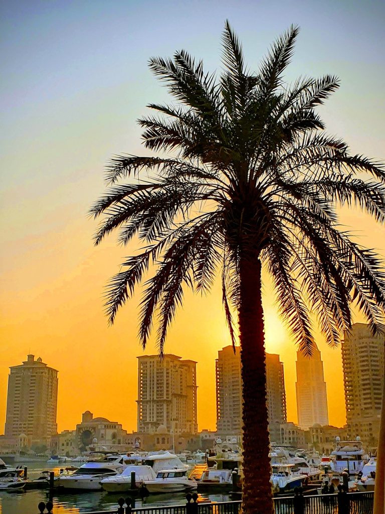 doha, sunset, qatar, palmtree, sky, boat, doha, doha, doha, qatar, qatar, qatar, qatar, qatar, palmtree, palmtree